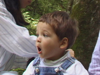 Surprise!
