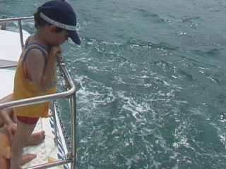 Click here for BIGGER picture...