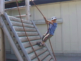 Click here for BIGGER picture...