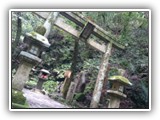 Hiking at Mt.Kurama 鞍馬山ハイキング