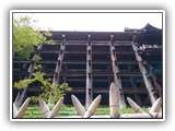 Pillars of Kyomizu-dera Shrine 清水寺・舞台下